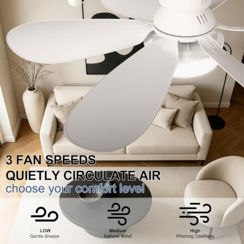 Screw in Ceiling Fan with Light (White-1)