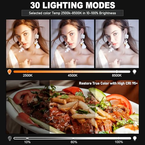 30W Upgraded Photography Lighting Kit (1-Pack / 30W Video Light)