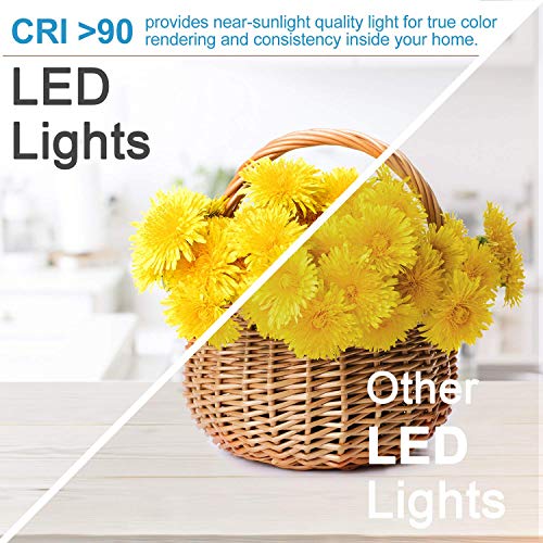 2 Inch LED Recessed Lighting (5000k (Daylight White) / 1 Pack (White))
