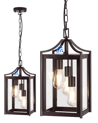Outdoor Pendant Lights for Porch (Oil-Rubbed Bronze / Large-Clear Glass)