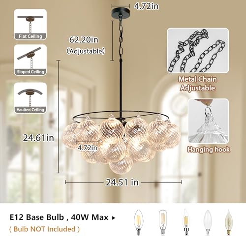 Bubble Glass Globe Chandelier (Black and Clear Shade / 24inch)