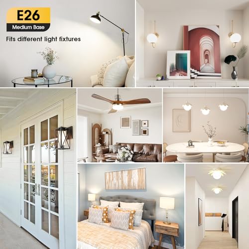 A19 LED Light Bulbs (Neutral White)