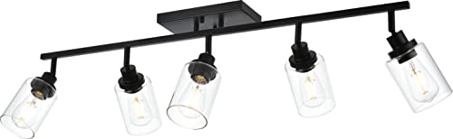 5 Light Vanity Lights for Bathroom with Rotatable Light Head (Black / 5-Light)