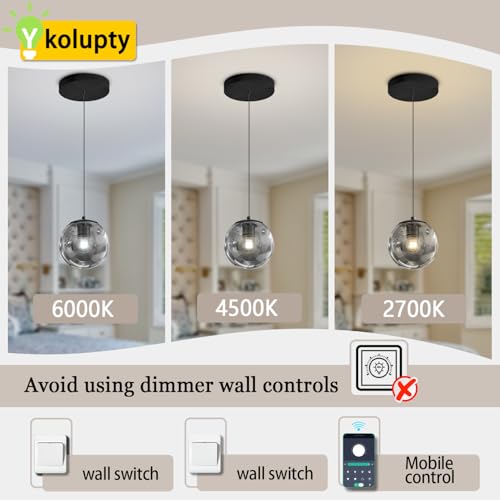 1 Light Black Pendant Light Fixtures Modern Smoke Gray Glass Globe Pendant Lights Kitchen Island Adjustable Hanging Lights Globe Stairwell Lighting Black Chandelier for Dining Room (Smoke Grey / Globe 1-Light)