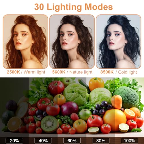 2 Pack LED Video Lighting Kit (2-Pack / 15W Studio Light)