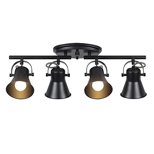 4 Light Track Lighting Kit (4-Light / Black)