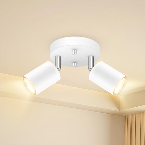 LED 2 Light Track Lighting Kit (2 Light-White)