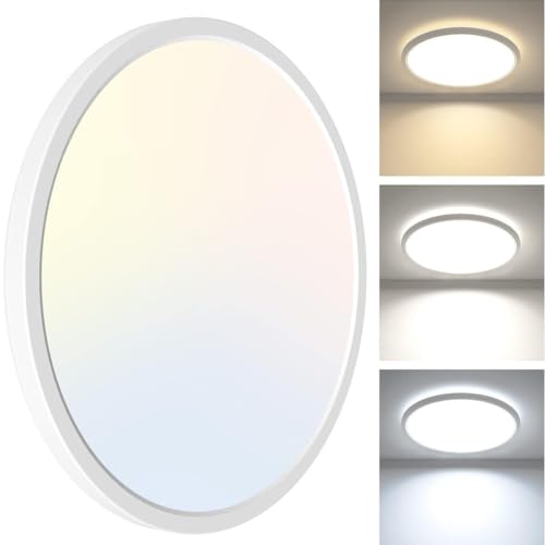 3CCT Led Ceiling Light