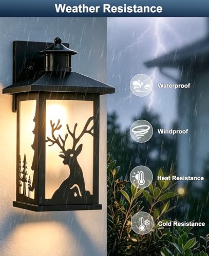 Rustic Porch Light (1Pack / Motion Sensor)
