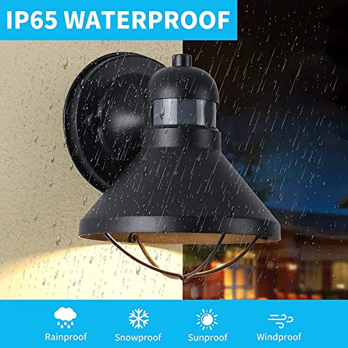 2 Pack Dusk to Dawn Motion Sensor Outdoor LED Wall Light Fixture (Black / 2 Pack)