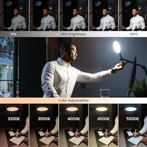 Edge 2.0 LED Desk Lamp (Black - Single)