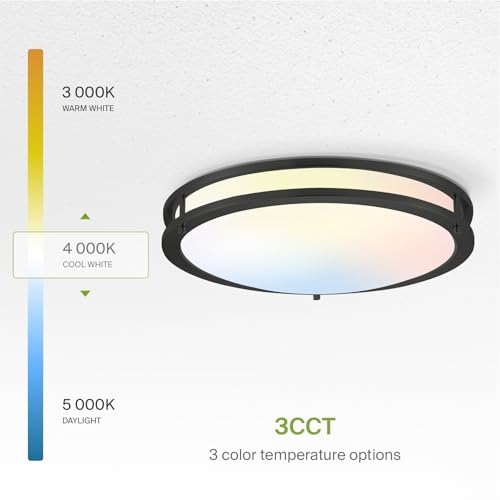 LED 18" Round Flush Mount Lighting (Black)