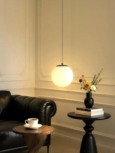 Globe Pendant Light (Black-White / Globe 1-Light)