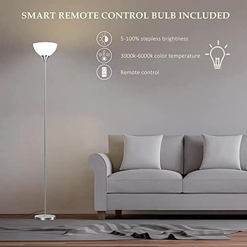 Floor Lamp Remote Control with 4 Color Temperatures (Brushed Nicke)