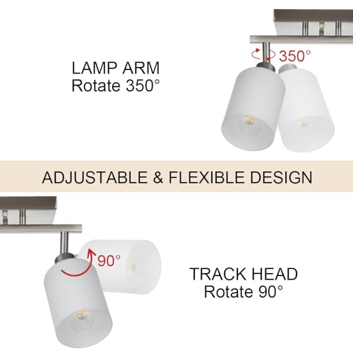 Track Lighting Fixtures Ceiling (Brushed Nickel / 3-Lights)