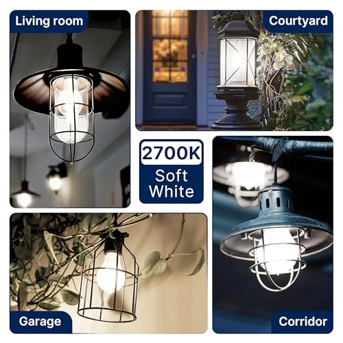 100W Eqv Dimmable A21 LED Bulbs (100w 5000k Daylight / 4 Count (Pack of 1))