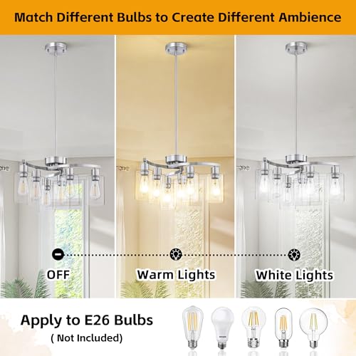 6 Light Modern Chandelier