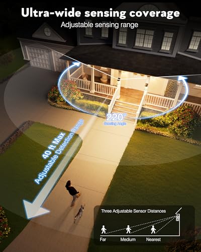 Outdoor Motion Sensor Light (Motion Sensor 2 Pack / Oil-Rubbed Bronze)