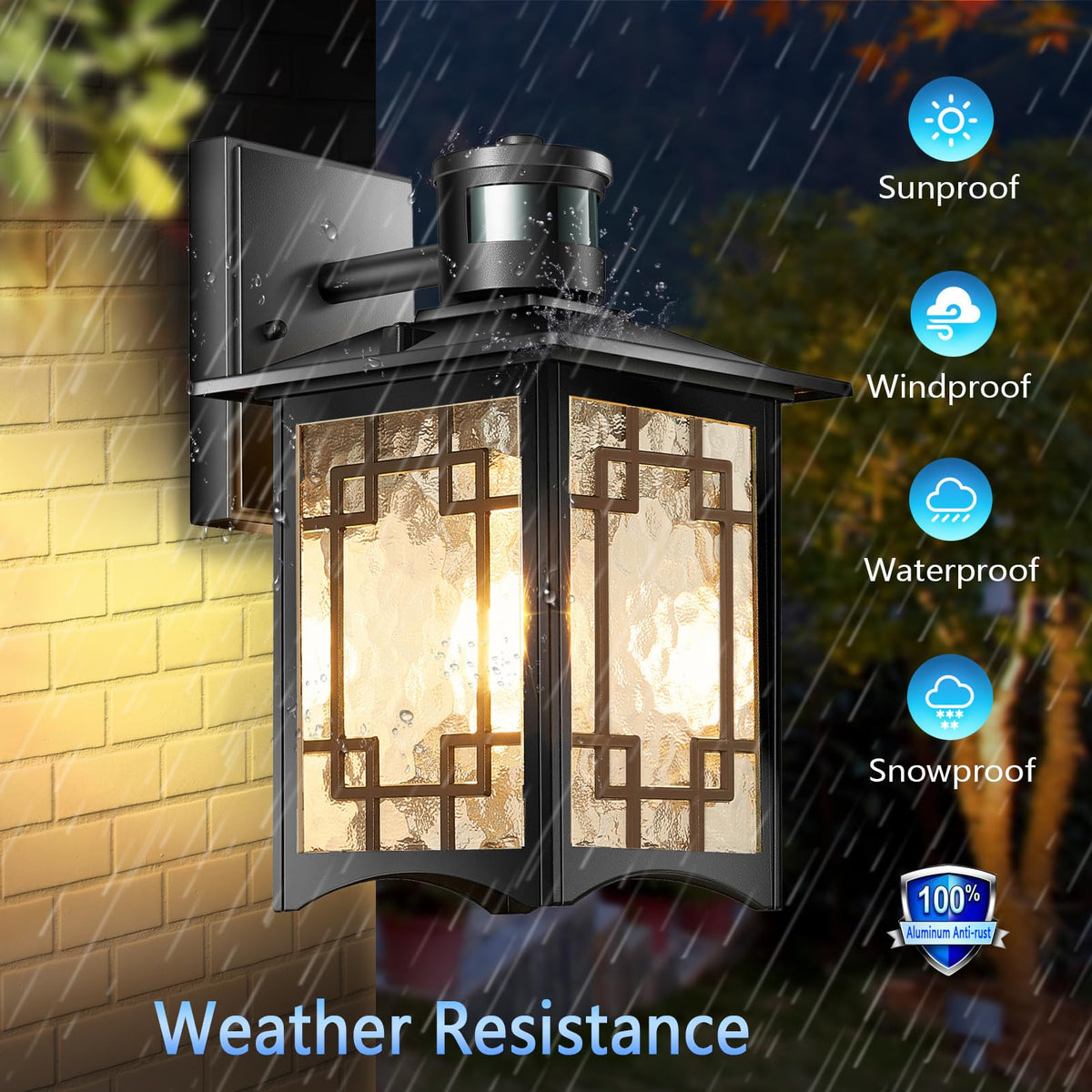 Dusk to Dawn Motion Sensor Light (Black-Z)