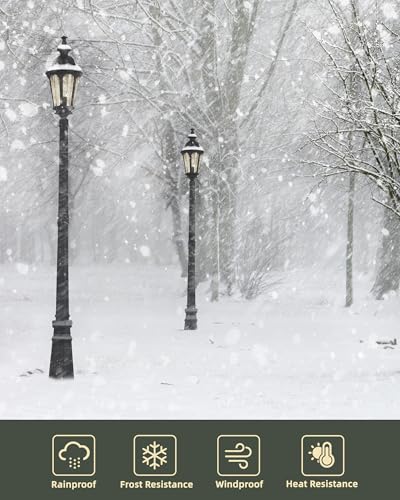 HWH Outdoor Pole Lights with Post 85'' Aluminum Lamp Post Light Fixtures with Seeded Glass