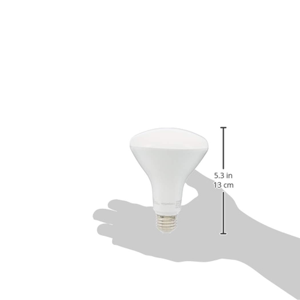 BR30 LED Light Bulb (Soft White / 16 Count (Pack of 1) / 65W Equivalent)