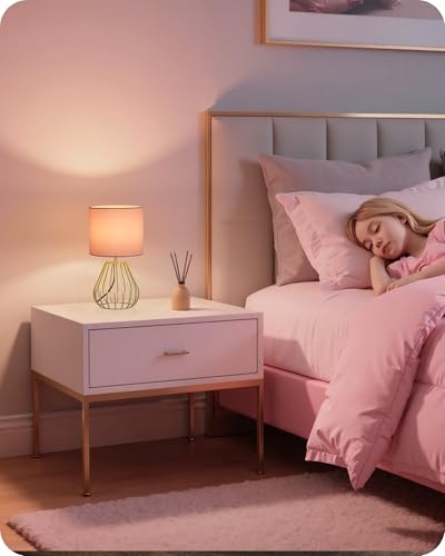 Pink and Gold Table Lamp (Pink + Gold)