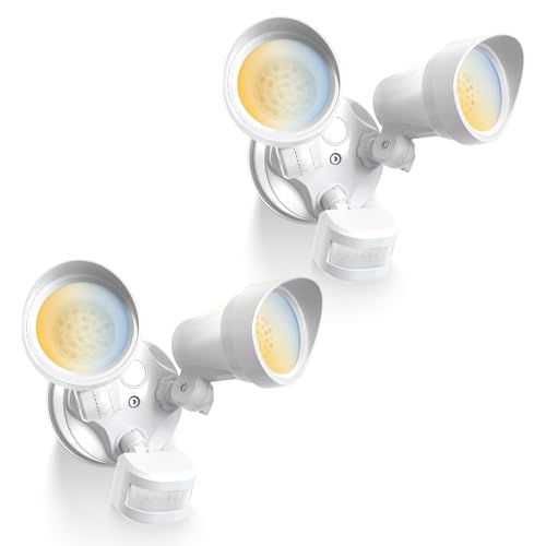 Motion Sensor Outdoor Lights (White 3 Modes Classic 30W)