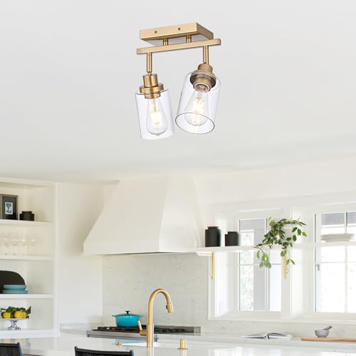 2 Light Track Lighting Fixtures Gold Finish (Gold / 2-Light)