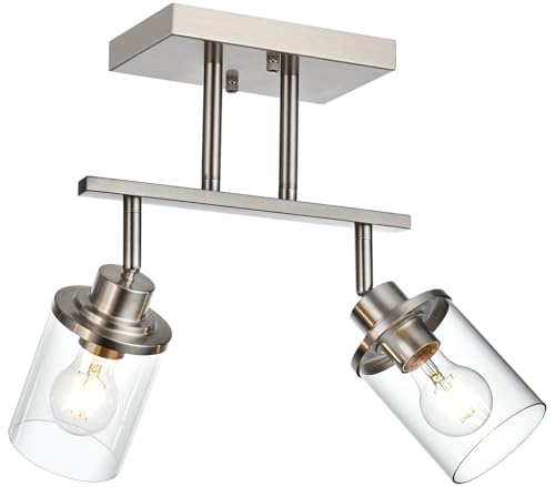 2 Light Track Lighting Kit Brushed Nickel Track Lighting Fixtures (Brushed Nickel / 2 Light)
