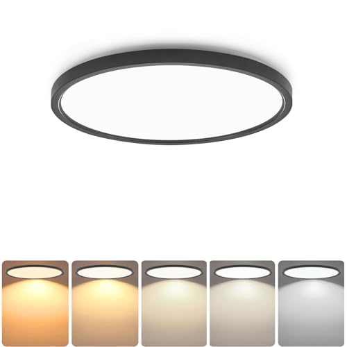 Ceiling Light Fixture Flush Mount