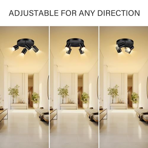 LED 4 Light Track Lighting Kit (4 Light-Black)