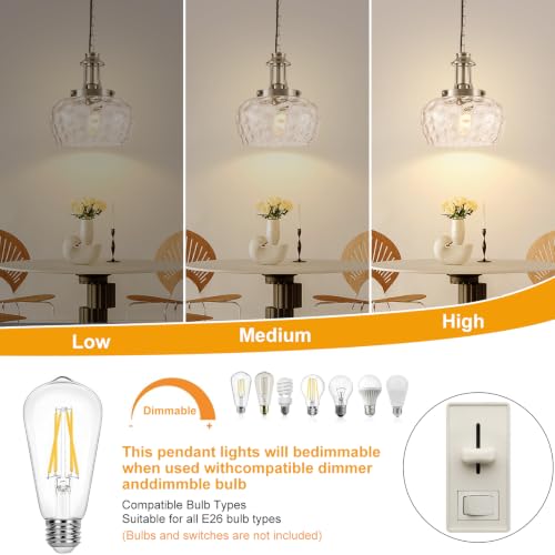 Plug in Pendant Lights Kitchen Island (1 Pack-Brushed Nickel-10"(Plug-and-Play))