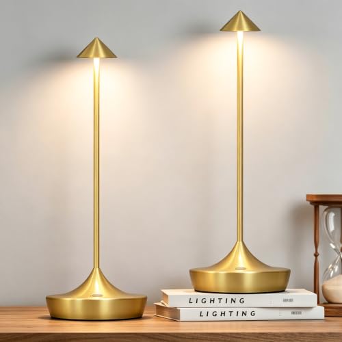 2 Pack Cordless Rechargeable LED Table Lamps