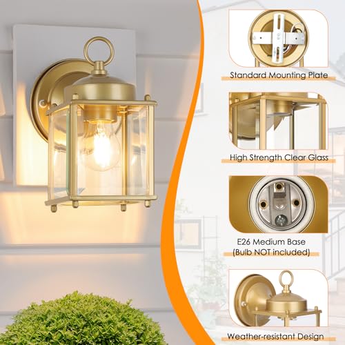 Outdoor Wall Lantern (Gold / 8.27 inch)