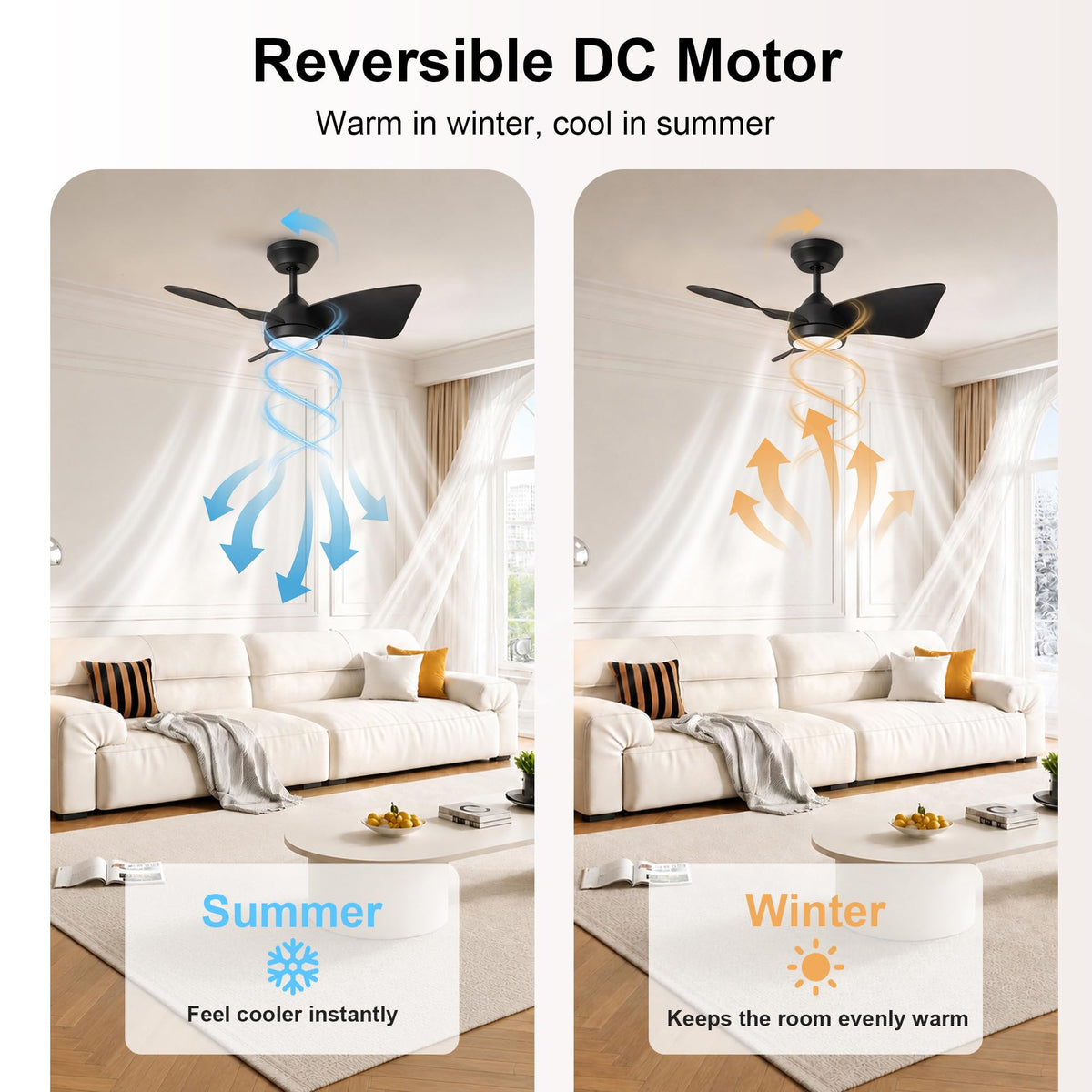 30 Inch Small Ceiling Fan with Lights (Matte Black / 30 Inch)