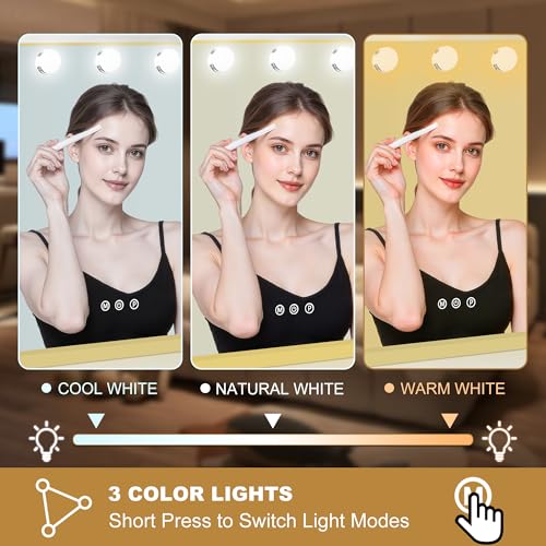 Vanity Mirror with Lights (Gold / 28"L x 20"W)