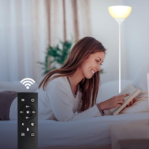 Floor Lamp Remote Control (Matte White)