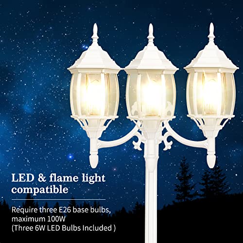 Dusk to Dawn Sensor Outdoor Lamp Post Light 3 (White (with sensor))