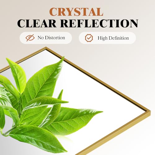 47x14 Inch Full Length Mirror (Claccic Gold-rect / 47"L x 14"W)