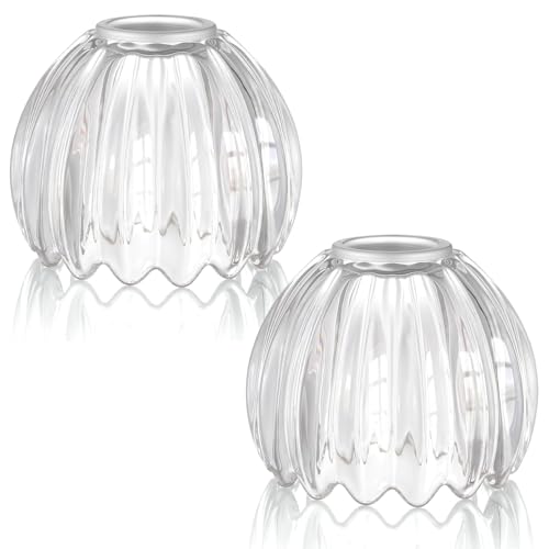Glass Tulip Lamp Shade