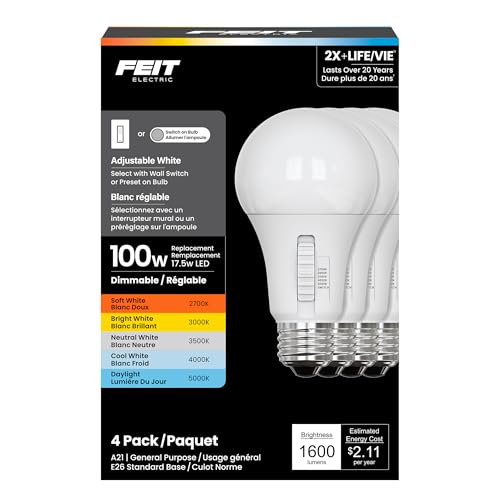 LED Light Bulbs (A21 - 4 Pack)