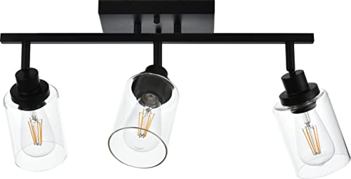3 Light Bathroom Vanity Light Black with Rotatable Track Head (Black / 3-Light)