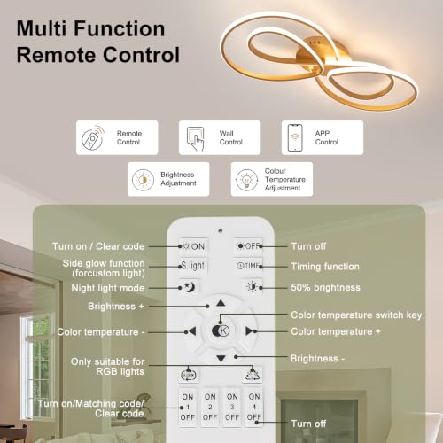 Modern LED Ceiling Light