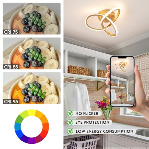 Modern LED Ceiling Light Gold Dimmable Hallway Ceiling Light (Gold, Dimmable)