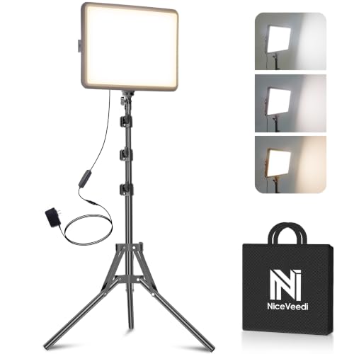 2 Pack LED Video Light Kit