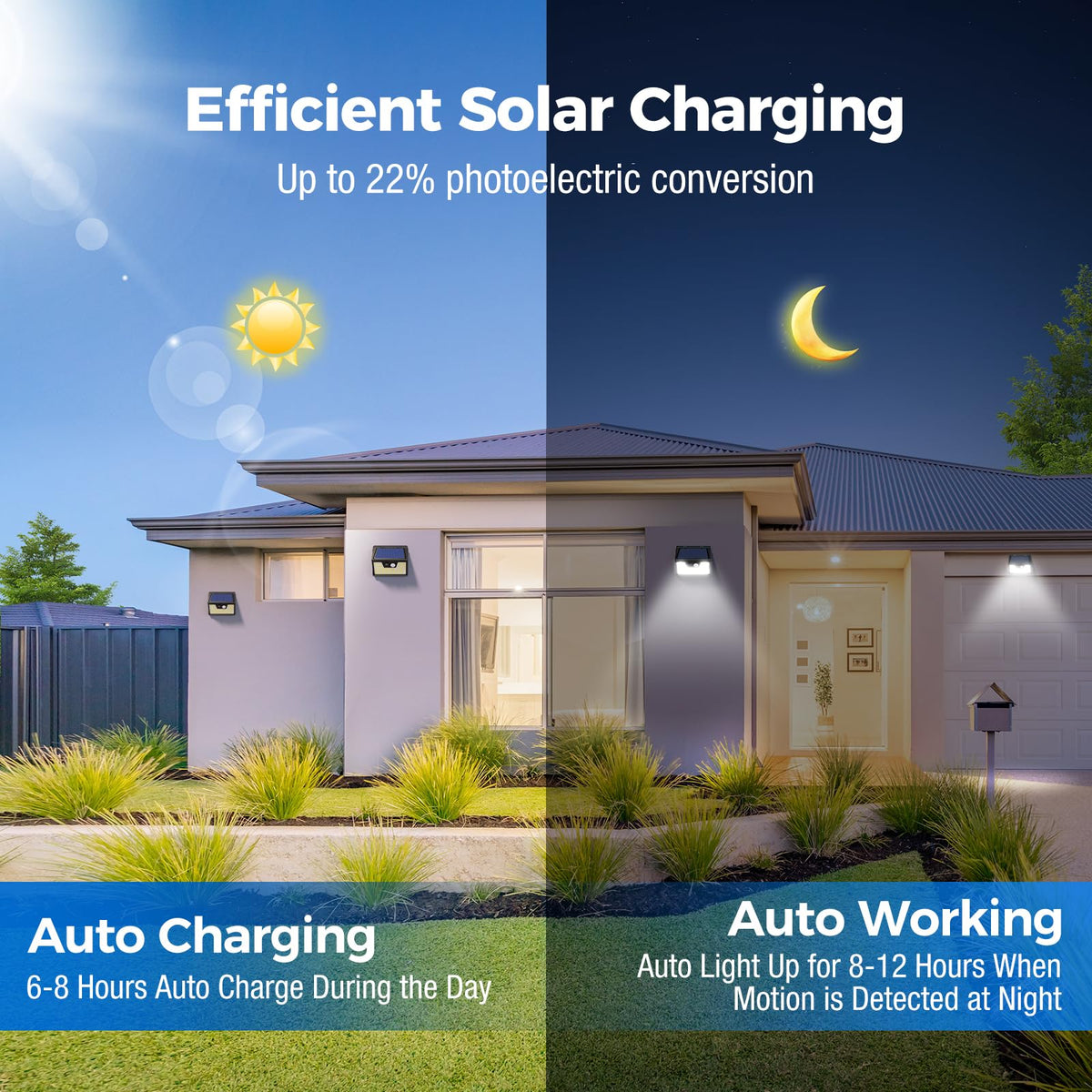Solar Lights Outdoor Waterproof [12 Packs (12 Pack / Black Frame)