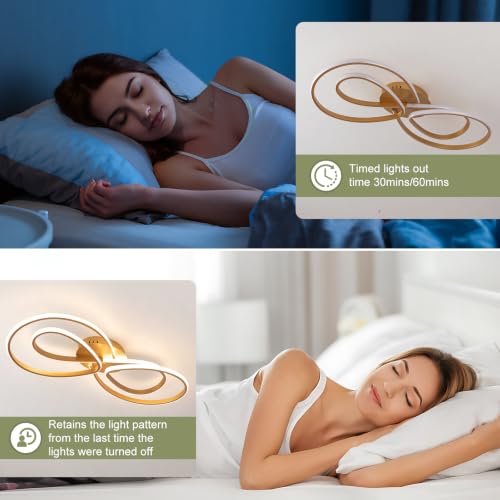 Modern LED Ceiling Light