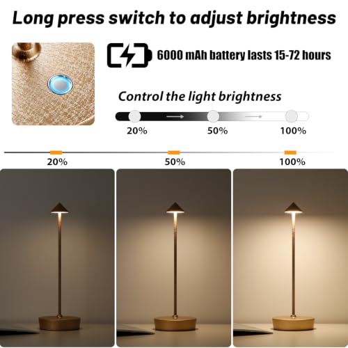 2Pack Rechargeable Cordless Table Lamp (2pack Lce Flower Gold)