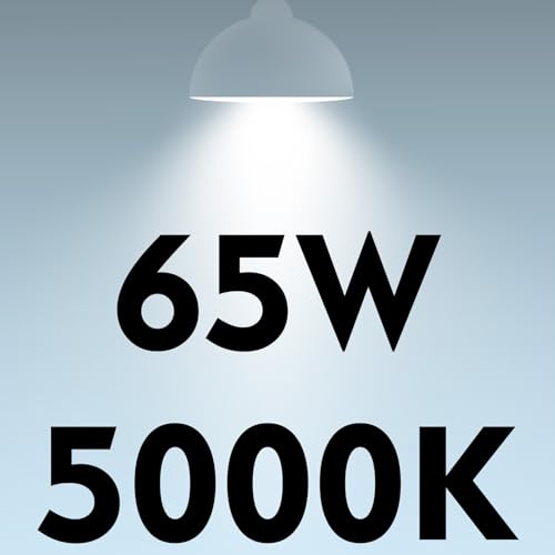 BR30 LED Light Bulbs Indoor Flood Light