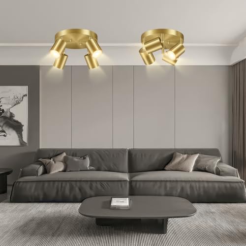 LED 4 Light Track Lighting Kit (4 Light-Gold)